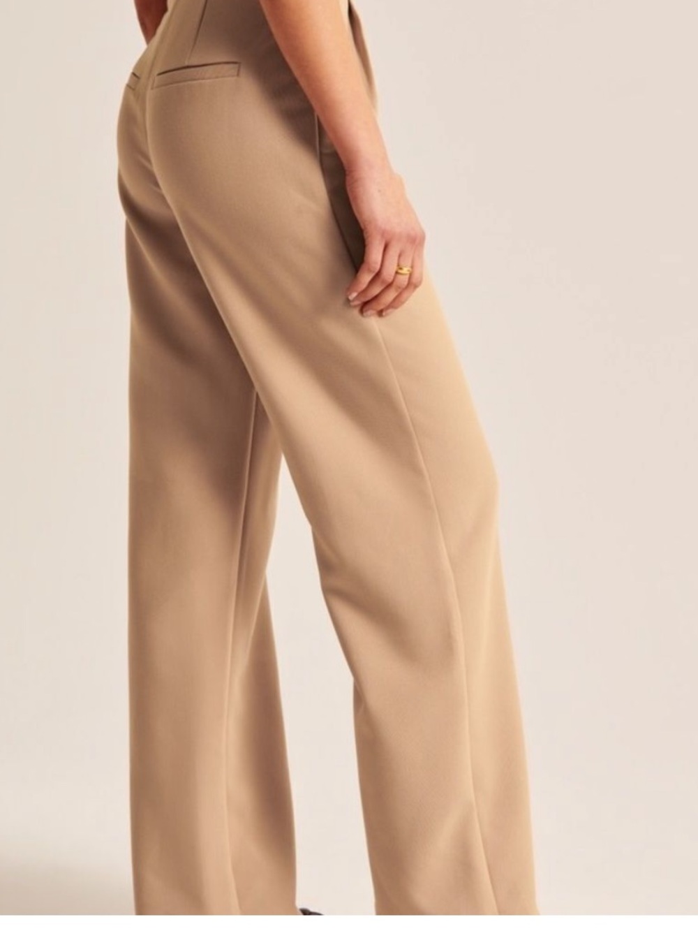 Abercrombie & Fitch Sloane Tailored Pants - Picture 4 of 12